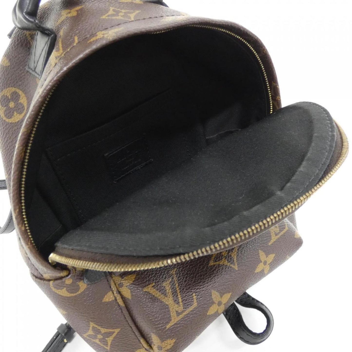 Louis Vuitton Monogram Palm Springs Backpack Mini M41562