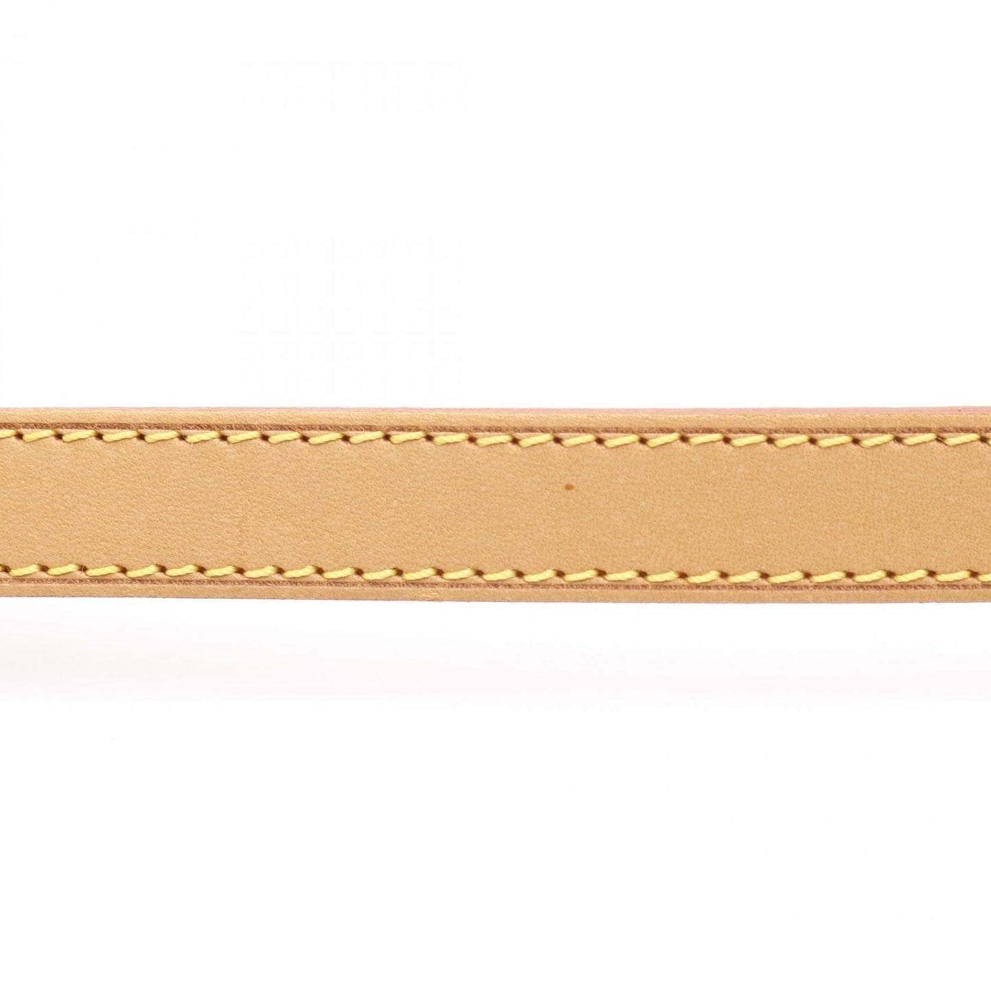 Louis Vuitton Musette Tango Long Strap Shoulder Bag