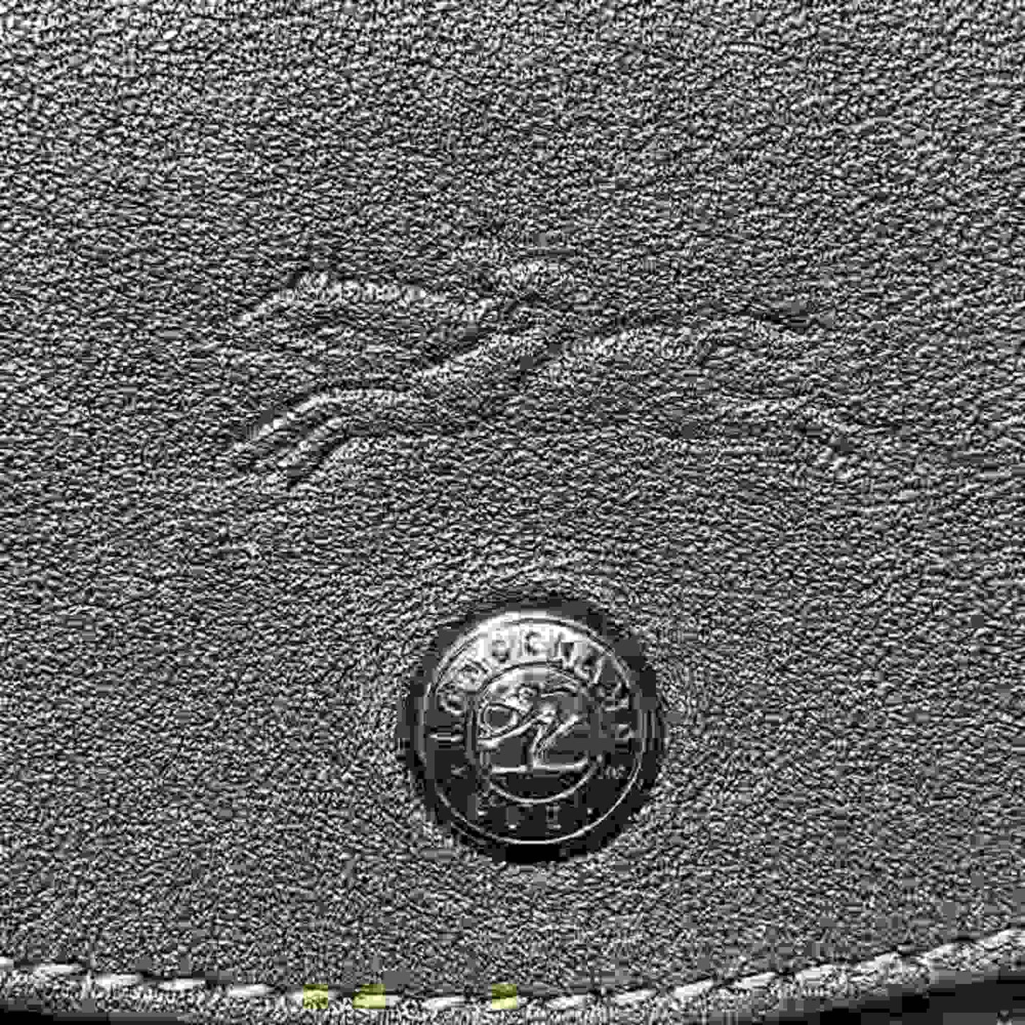 Longchamp Pliage Cuir 1512 757 P42 S Size Bag Handbag