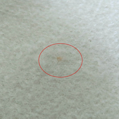 Hermes 100% Cashmere Stole/Shawl In Light Green With Embroidered Logo And Fringe