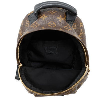 Louis Vuitton Monogram Palm Springs Backpack Pm M41560 Louis Vuitton