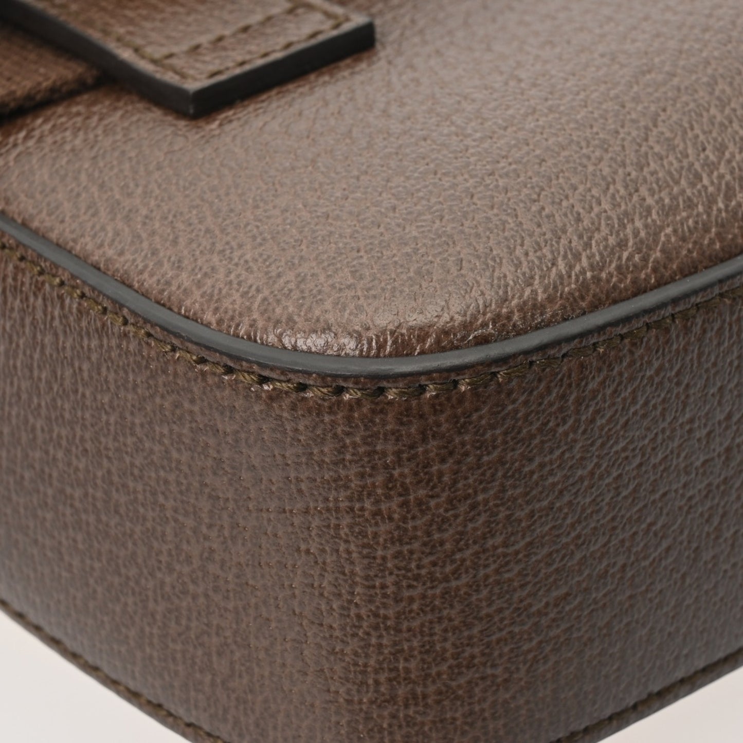 Gucci 100Th Anniversary Brown/Multicolor