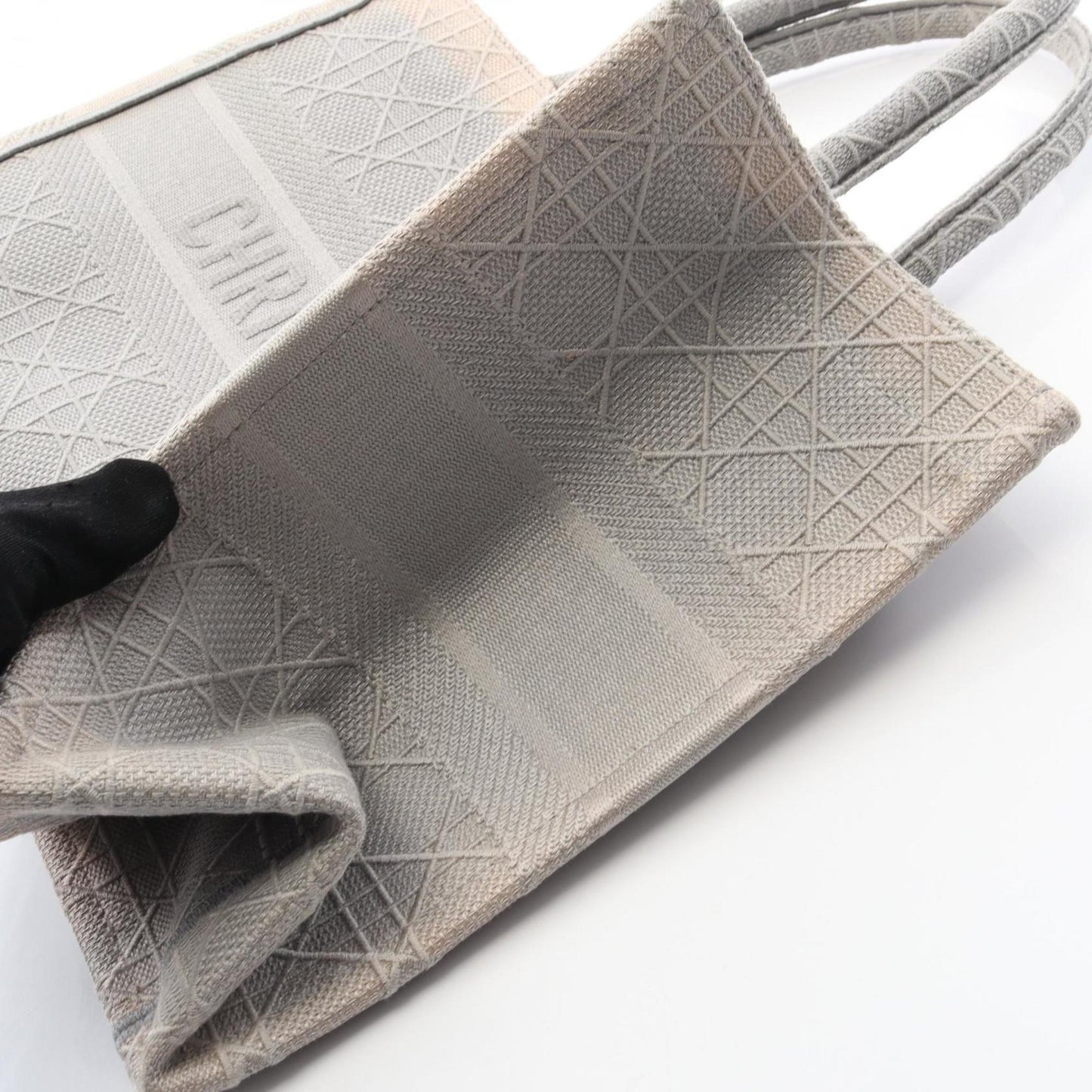 Christian Dior Dior Book Tote Medium Tote Bag