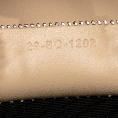 Christian Dior Dior Clutch Bag/Second Bag