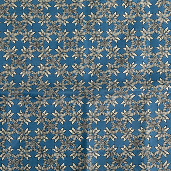 Herms Carr 45 Petit Scarf Muffler Blue White Silk