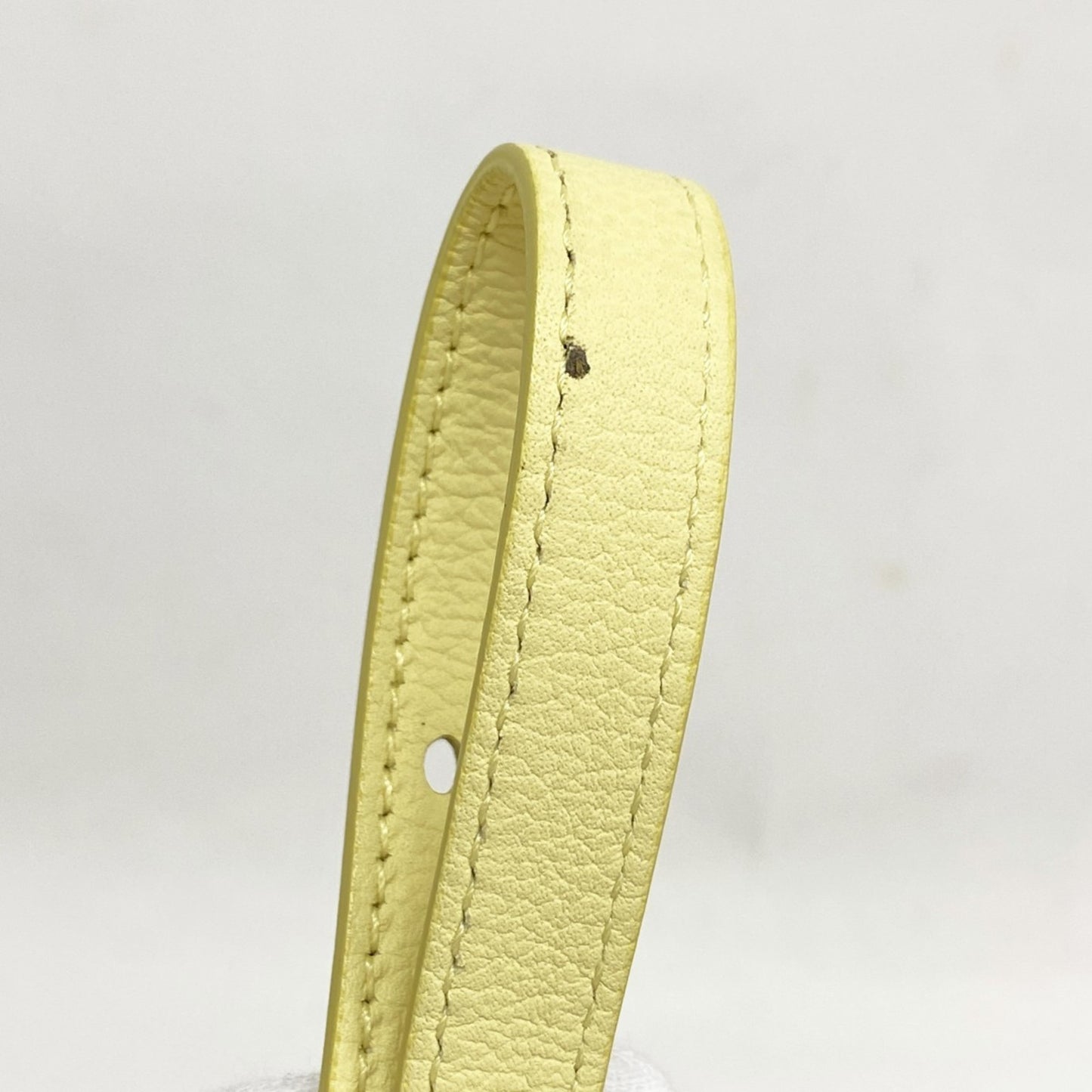 Christian Dior Blossom Leather Handbag