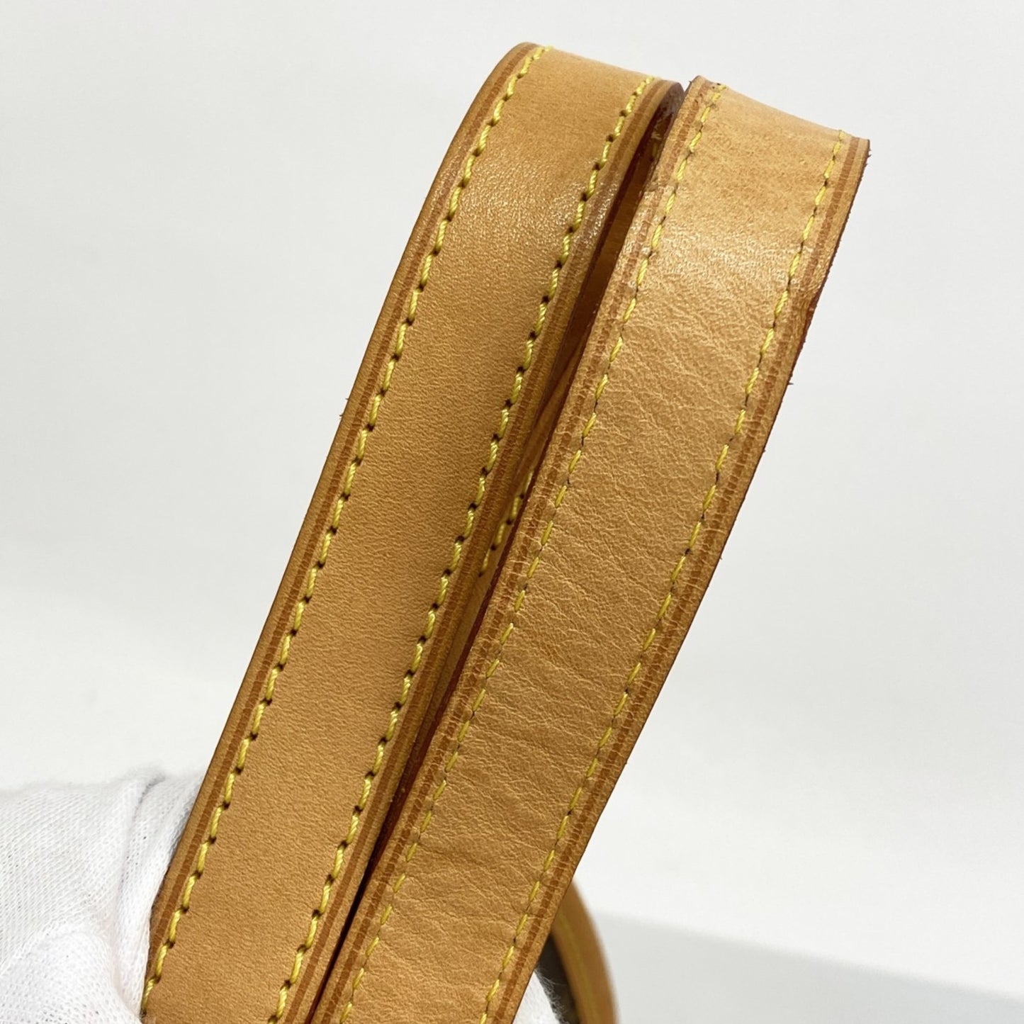 Louis Vuitton Monogram Sac Baxter Pm Pet Bag M42027 Brown