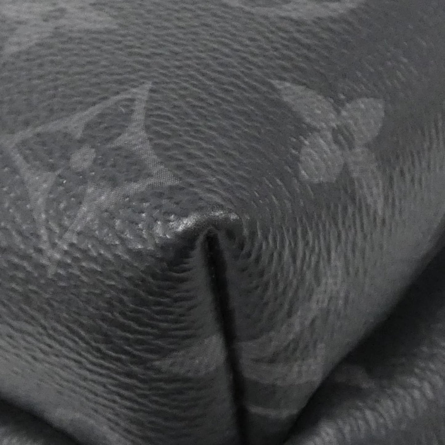 Canvas Louis Vuitton Backpack Coated