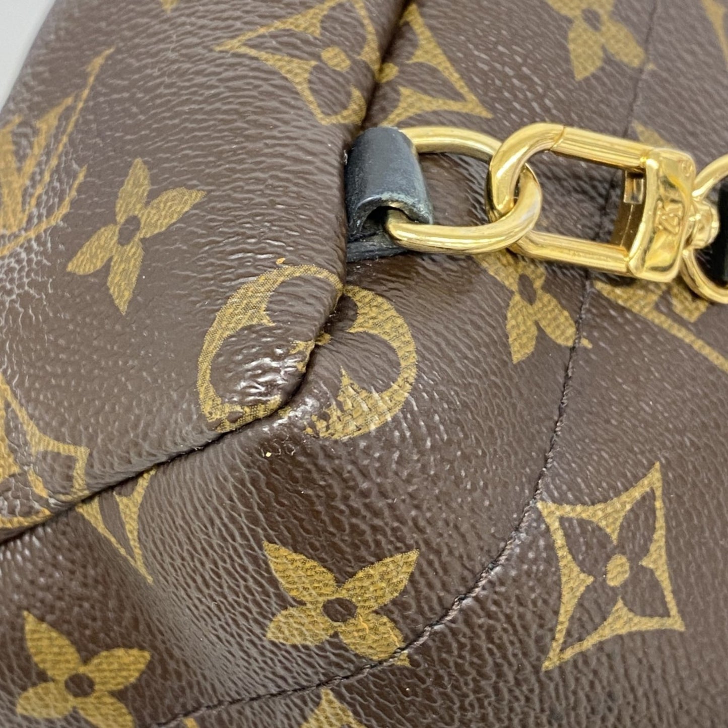 Louis Vuitton Monogram Palm Springs Backpack Mini M41562 Brown