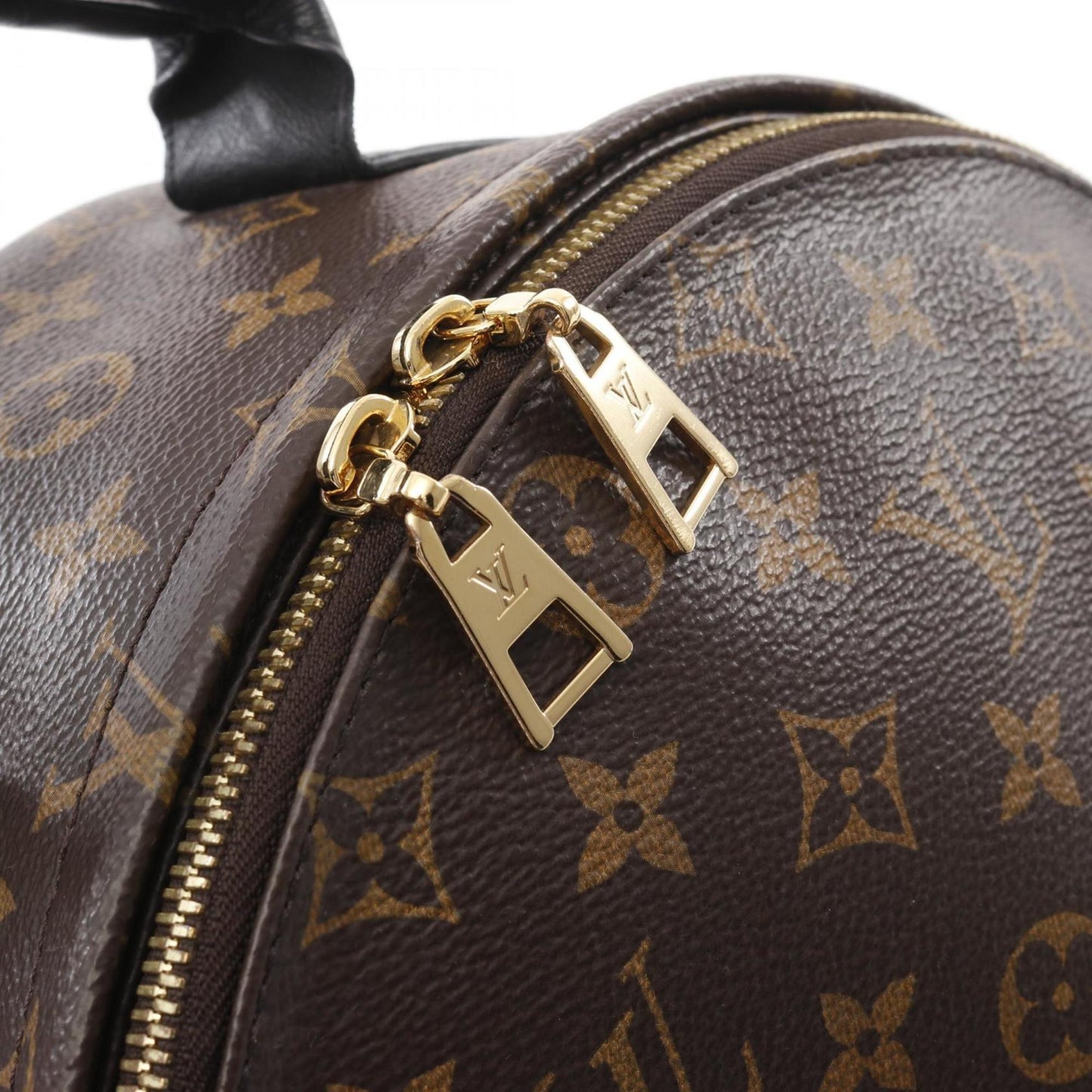 Louis Vuitton Palm Springs Backpack Mm Rucksack Bag Coated Canvas Leather Monogram