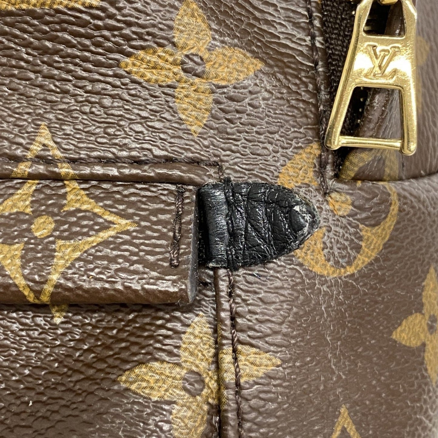 Louis Vuitton Monogram Palm Springs Backpack Mini M41562 Brown