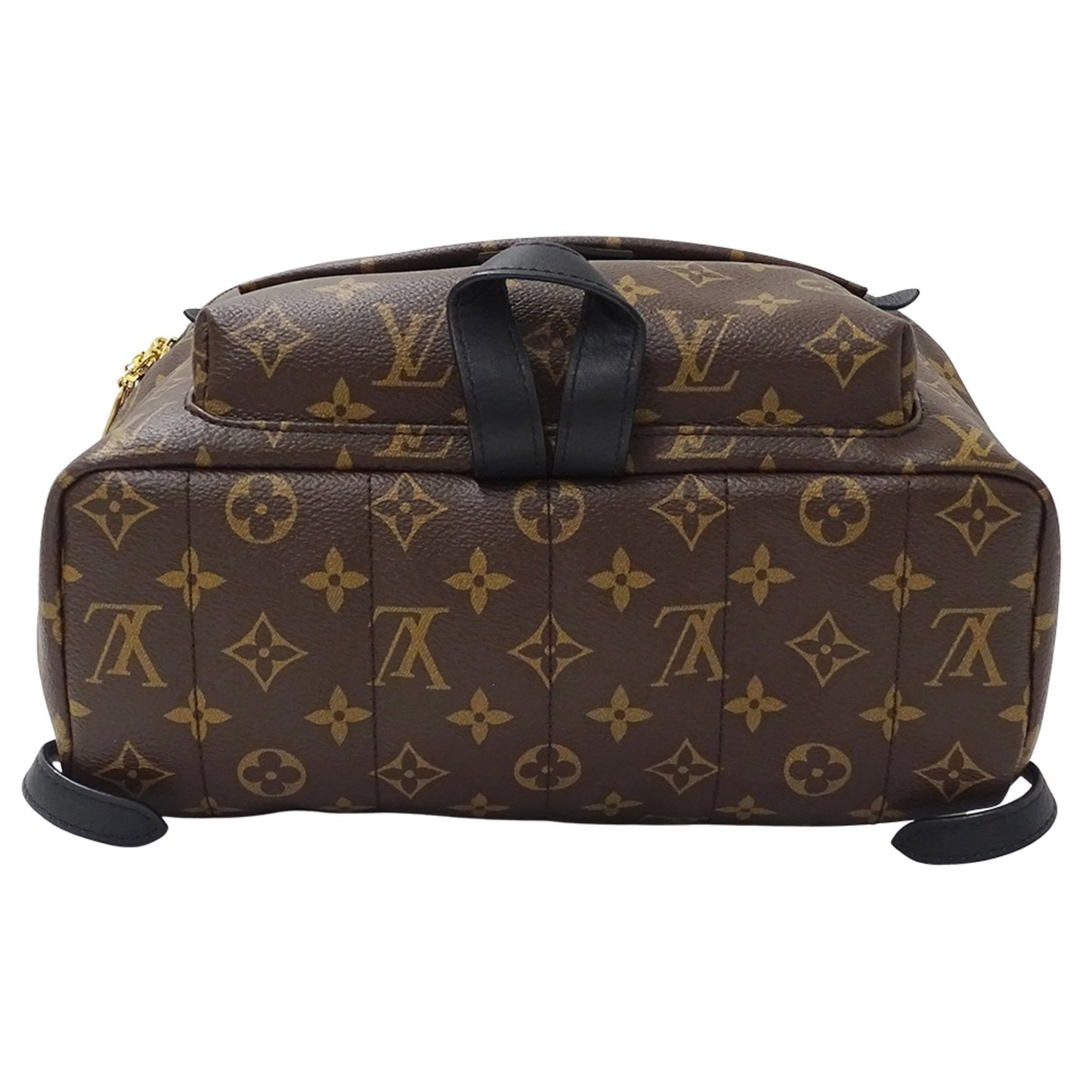 Louis Vuitton Monogram Palm Springs Backpack Mm M41561 Brown