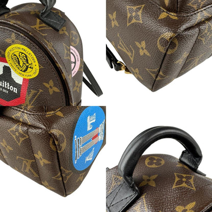 Louis Vuitton Louis Vuitton Backpack Monogram Palm Springs Canvas Brown Multicolor Gold