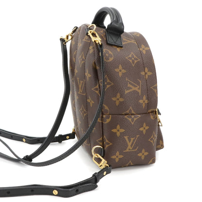 Louis Vuitton Monogram Palm Springs Backpack Mini