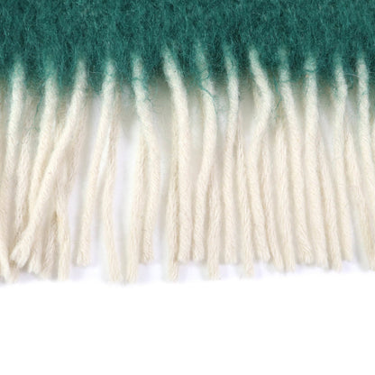 Loewe Women'S Mohair And Wool Blend Scarf With Anagram Logo Patch Fringe