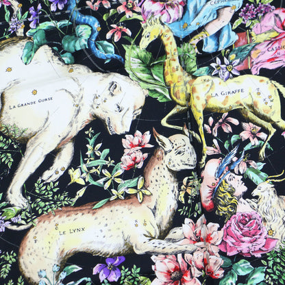 Christian Dior 22 D-Constellation Print Silk Scarf/Muffler In Black