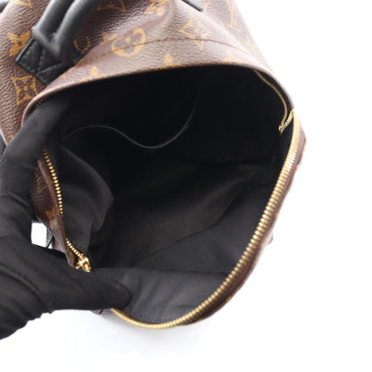 Louis Vuitton Palm Springs Backpack Pm
