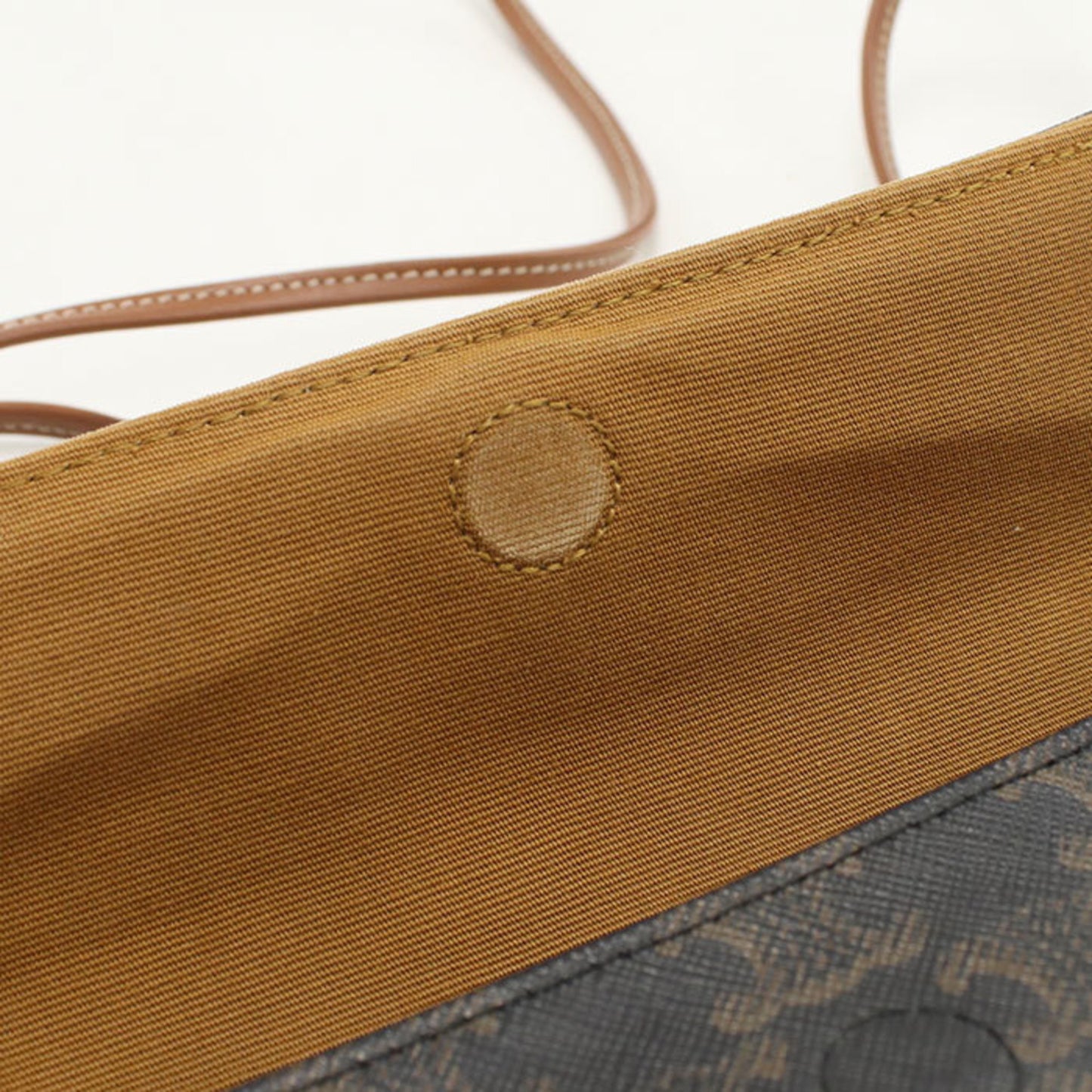 Celine Triomphe Canvas Shoulder Bag