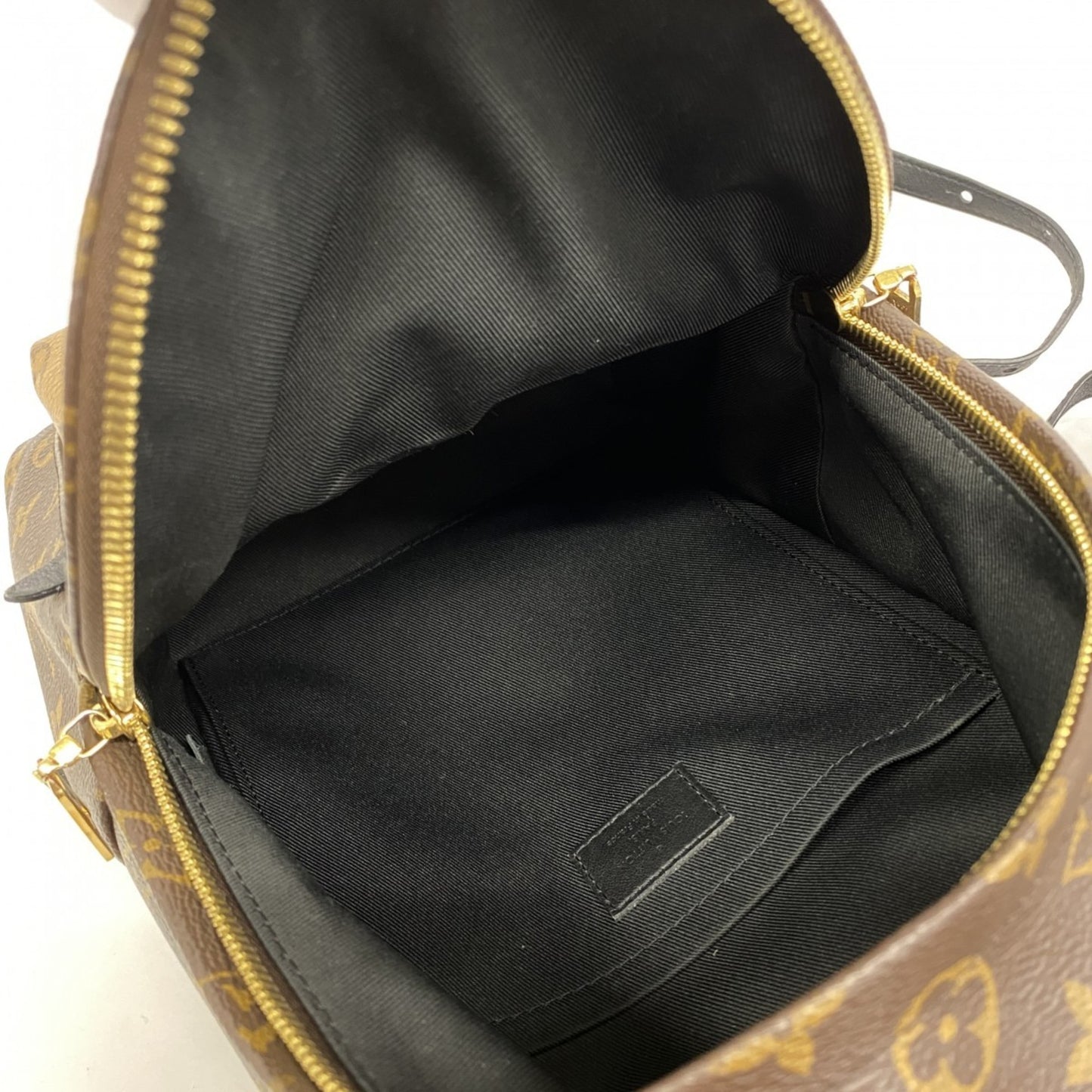 Louis Vuitton Monogram Reverse Palm Springs Backpack Pm M43116 Brown