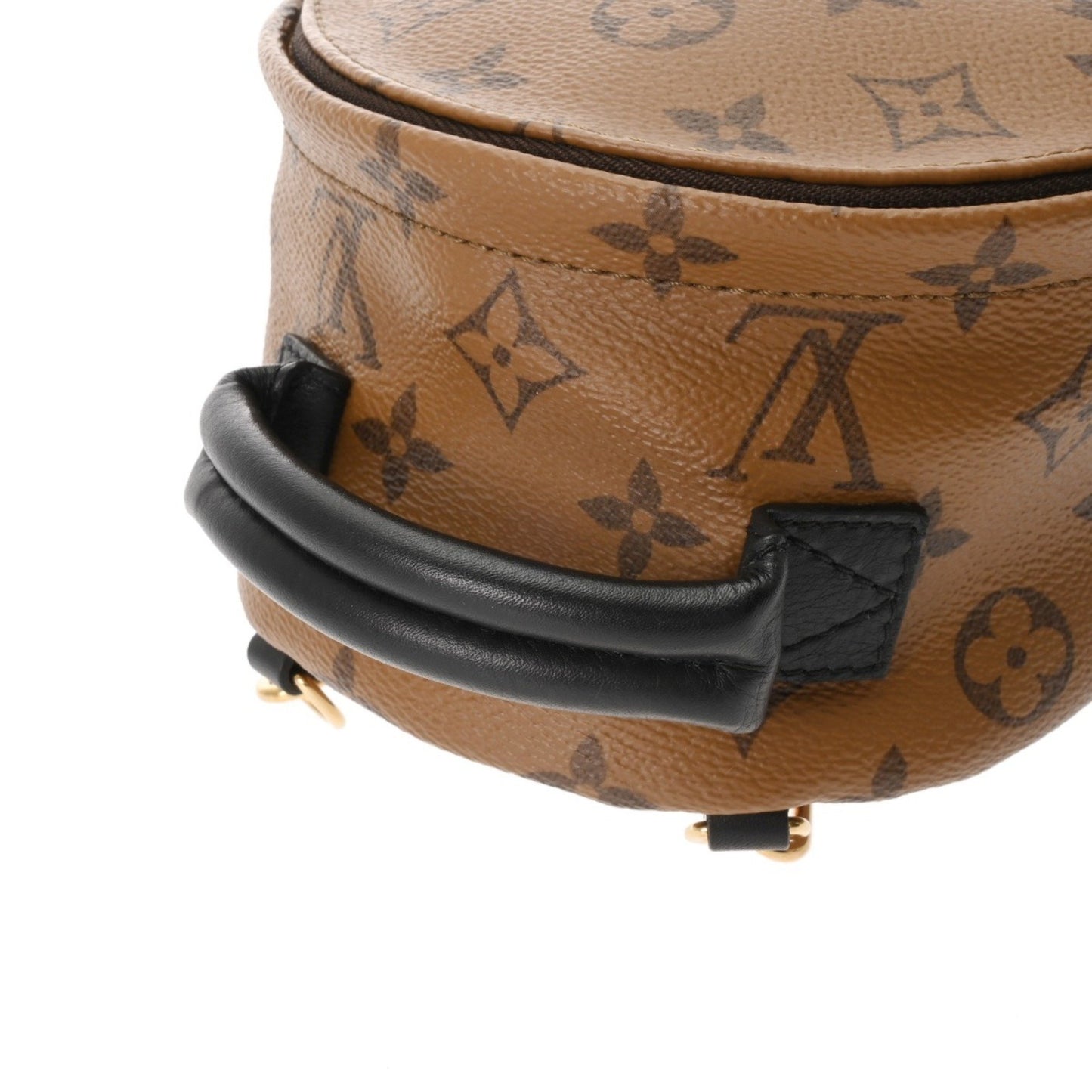 Louis Vuitton Monogram Reverse Palm Springs Mini Backpack