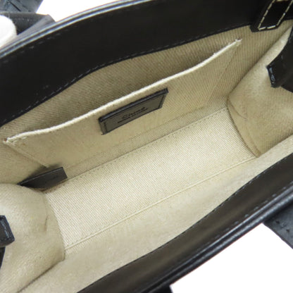 Chlo Chloe Woody Mini Shoulder Bag In Calfskin