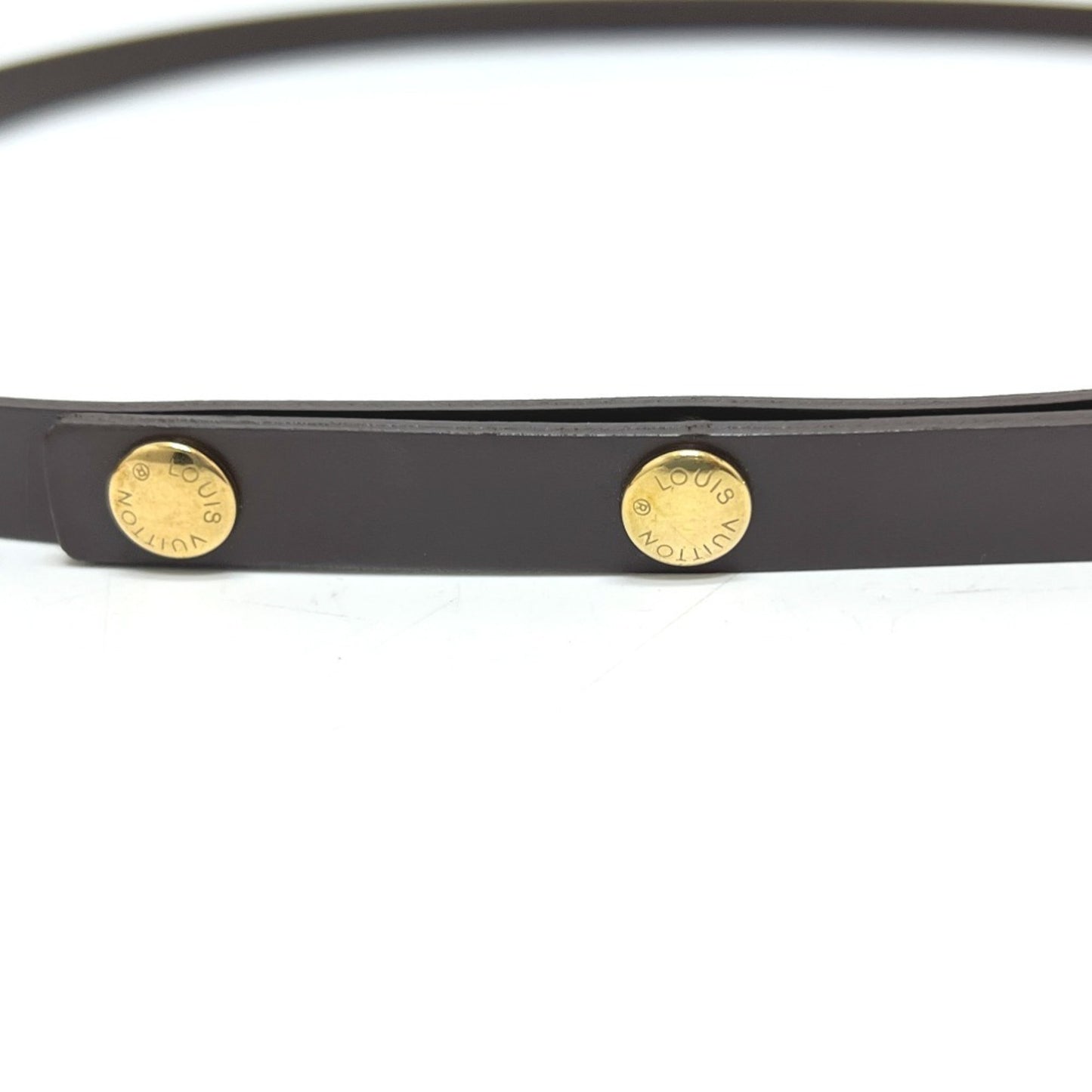 Louis Vuitton Florentine Pochette N51856