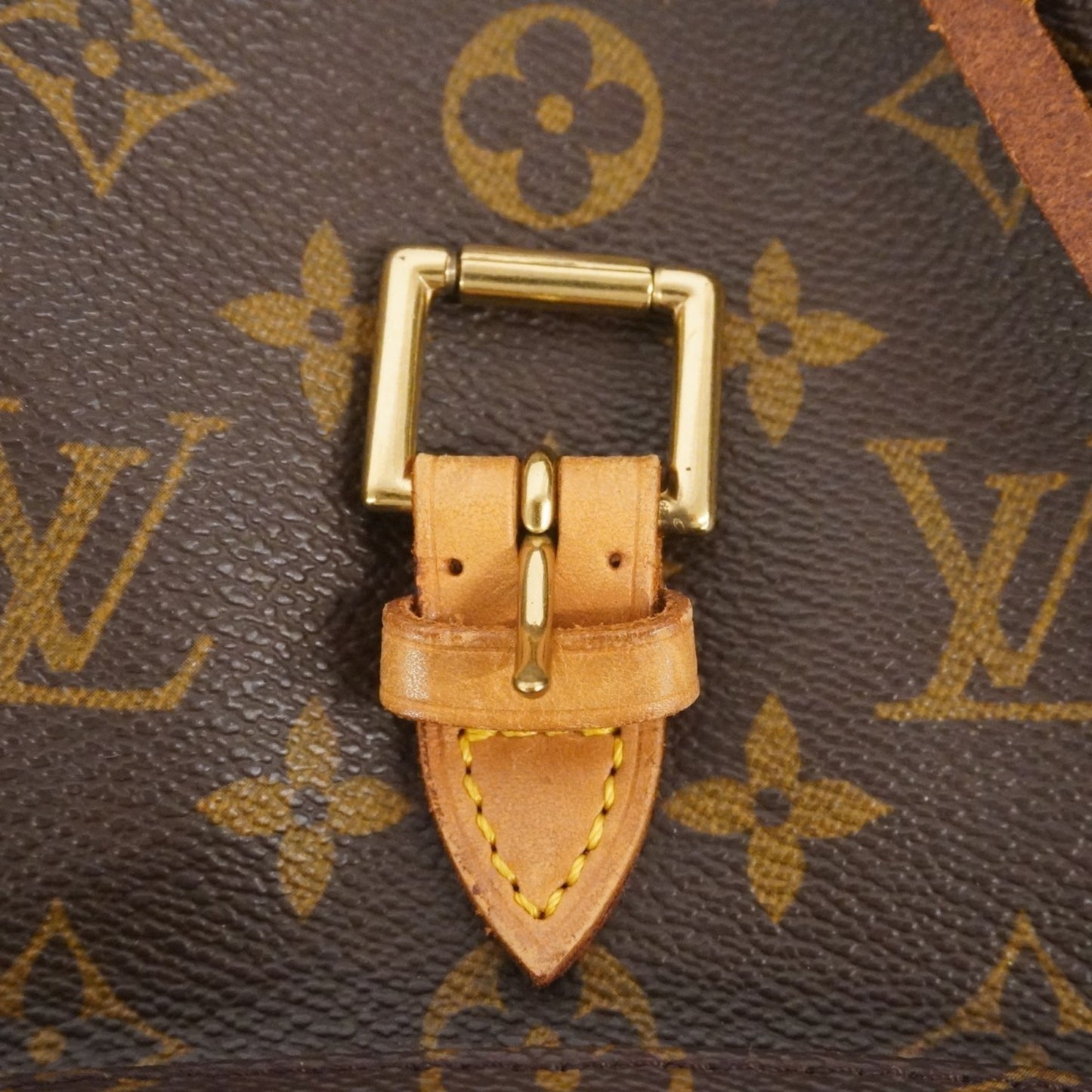 Louis Vuitton Monogram Montsouris Mm Backpack M51136 Brown