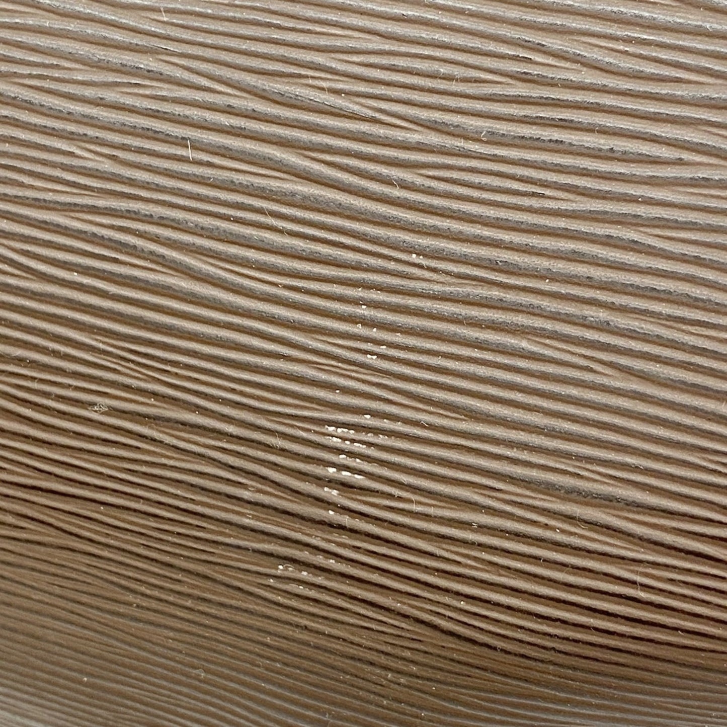 Louis Vuitton Epi Mandala Mm Shoulder Bag M5889D Mocha