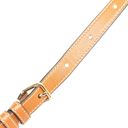 Celine Triomphe Round Purse Shoulder Bag In Black