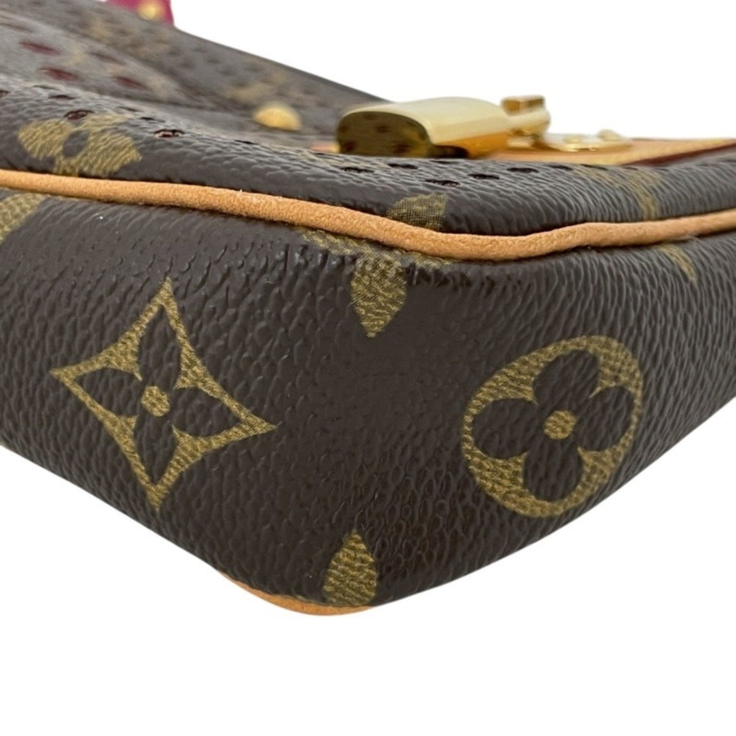Louis Vuitton Louis Vuitton Pochette Accessoires M95183 Pouch
