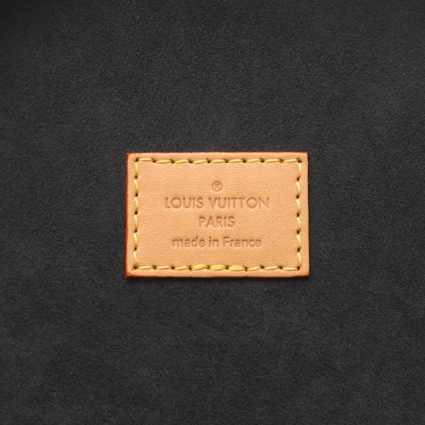 Louis Vuitton Cannes Handbag