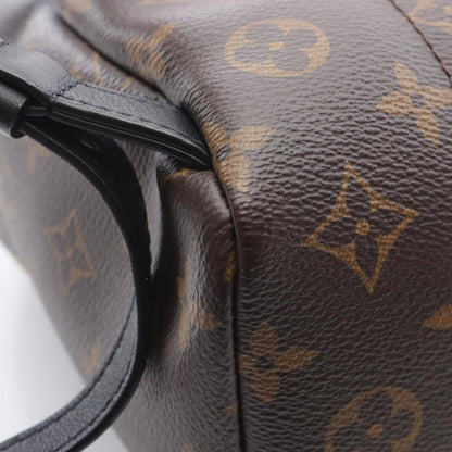 Louis Vuitton Palm Springs Backpack Pm