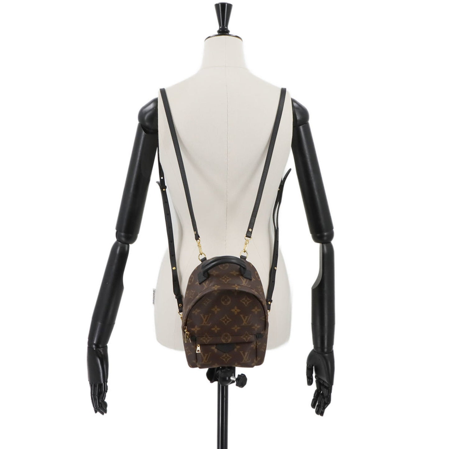 Louis Vuitton Monogram Palm Springs Backpack Mini