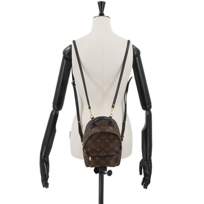 Louis Vuitton Monogram Palm Springs Backpack Mini