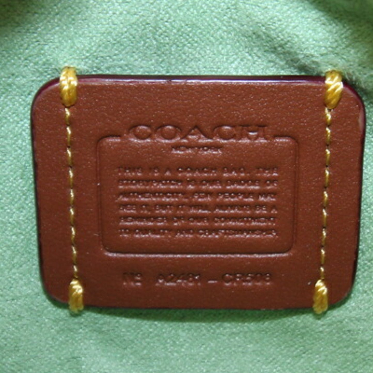 Coach Johnny Cr508 Shoulder Bag In Light Green Leather.
