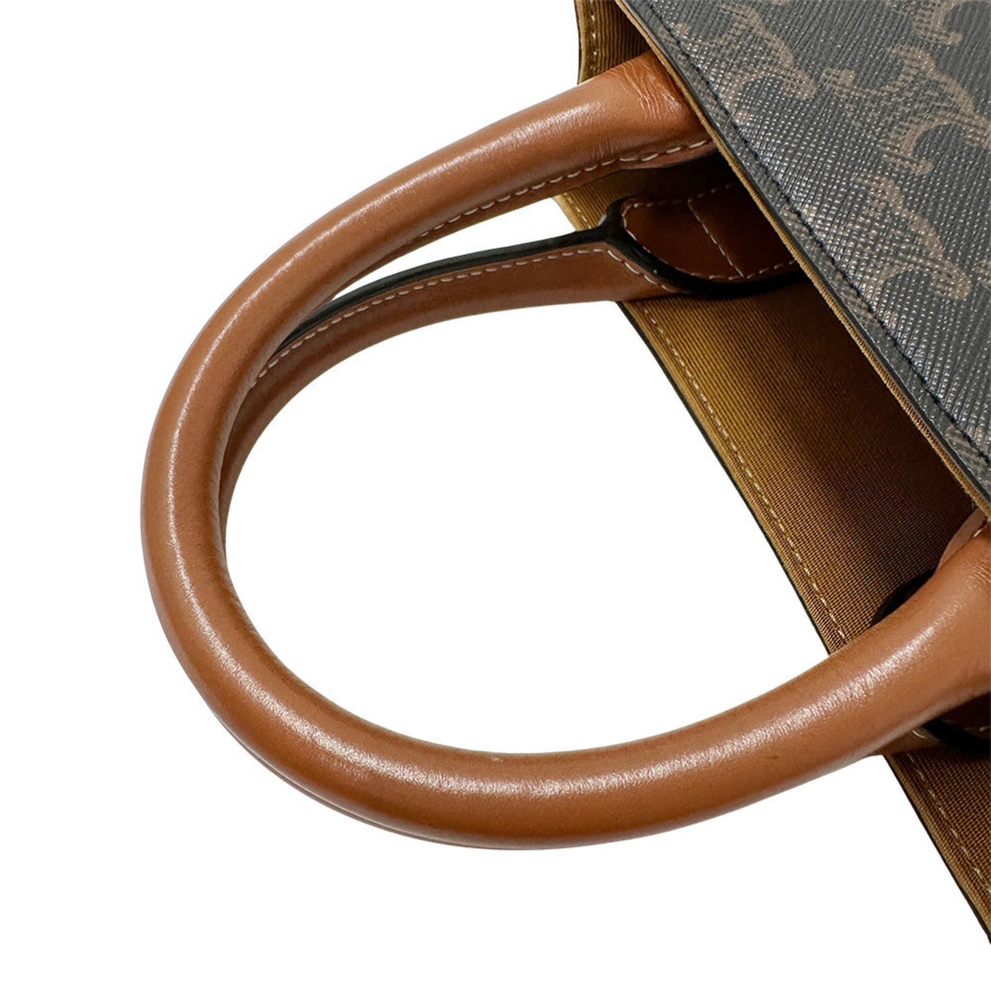 Celine Women'S Triomphe Canvas Mini Vertical Handbag/Shoulder Bag