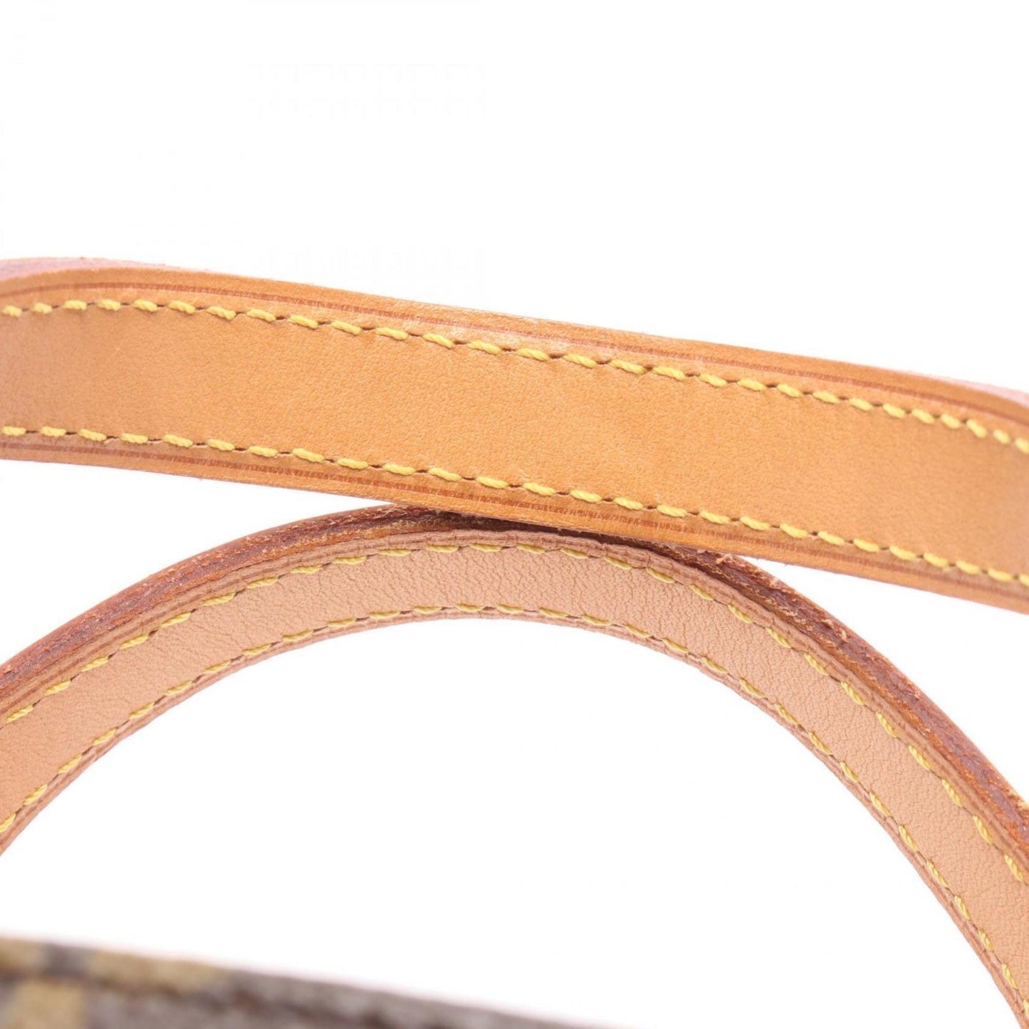 Louis Vuitton Vavin Pm Monogram Panda Handbag