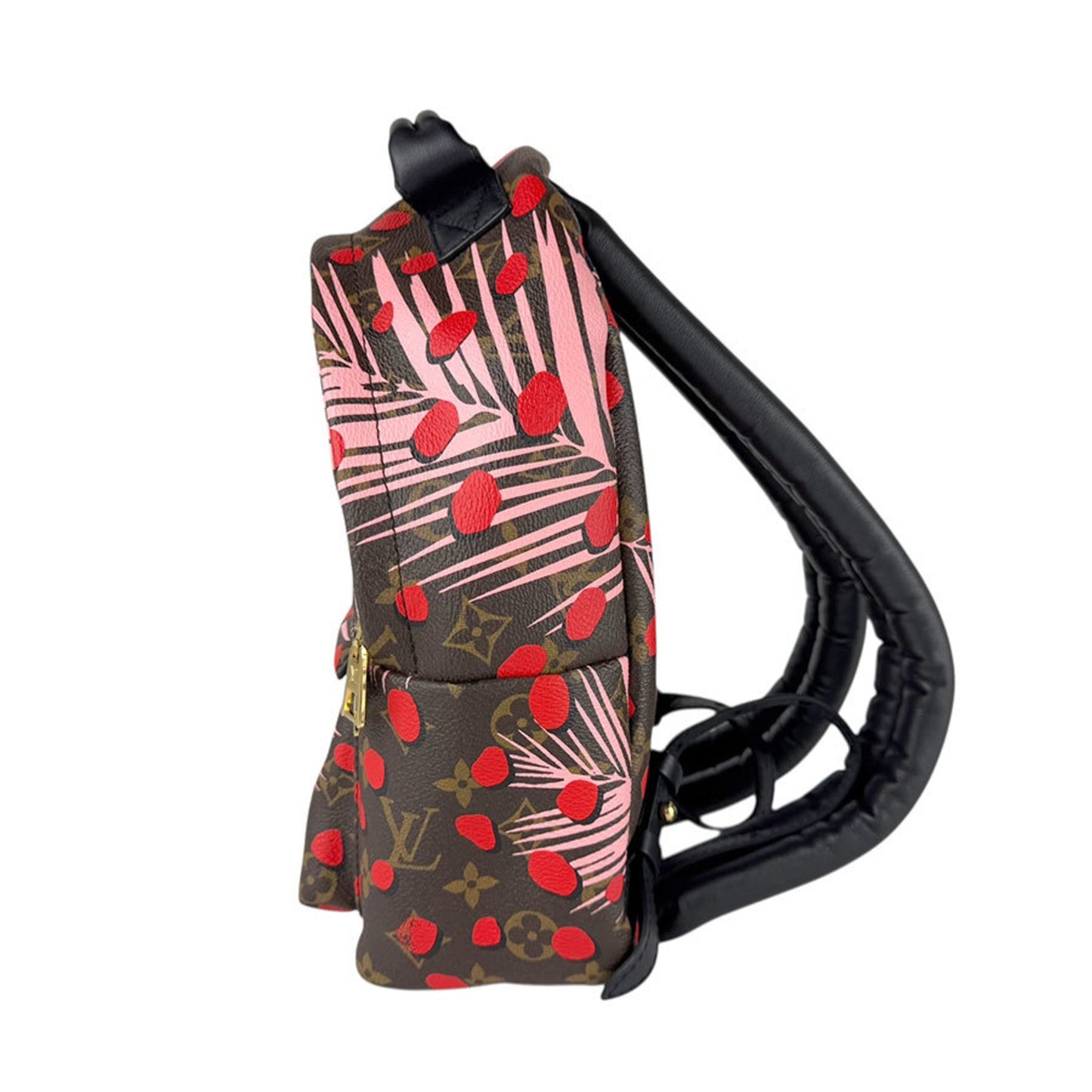 Louis Vuitton Monogram Jungle Dot Palm Springs Pm Backpack