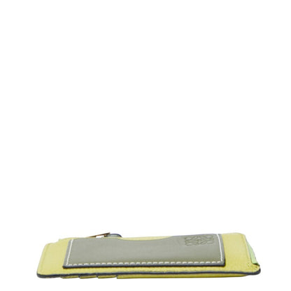 Loewe Anagram Fragment Case