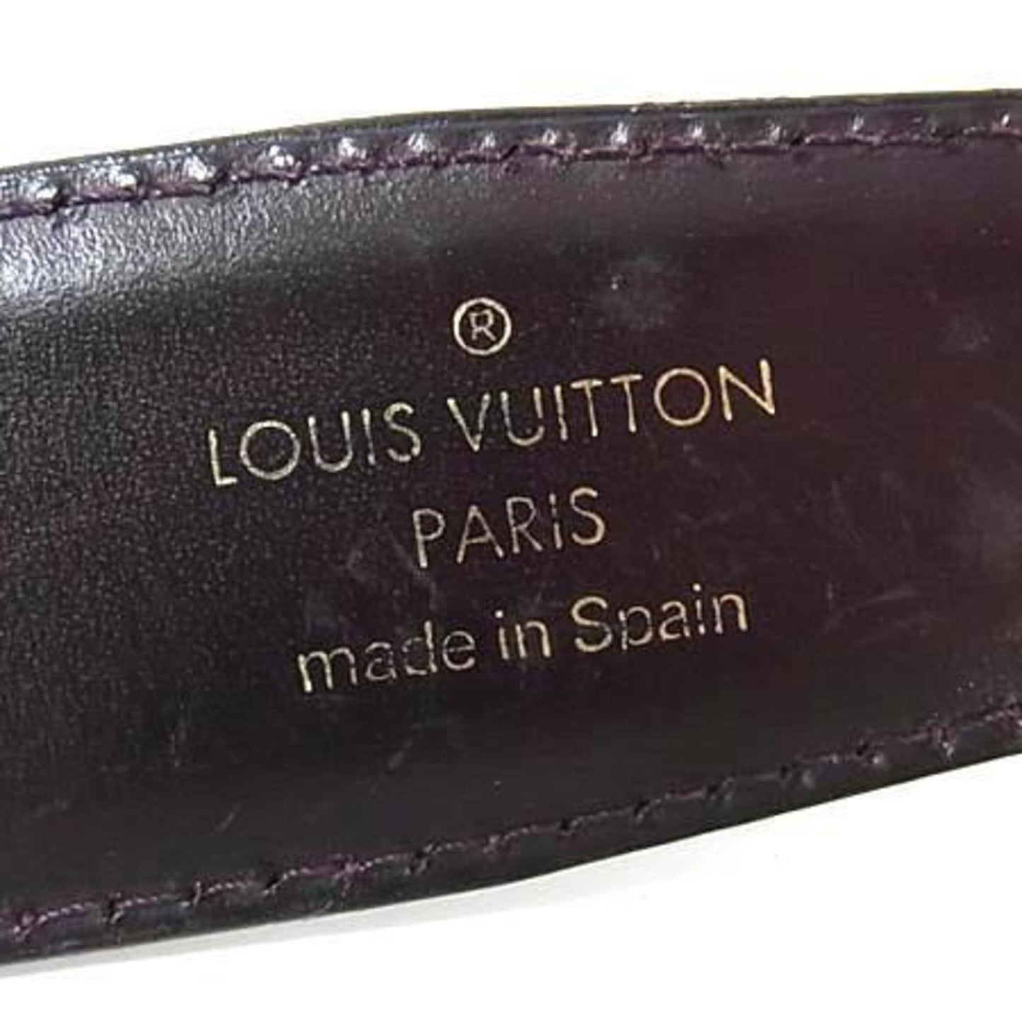 Louis Vuitton Taiga Santur Classic M6841 Acajou Leather