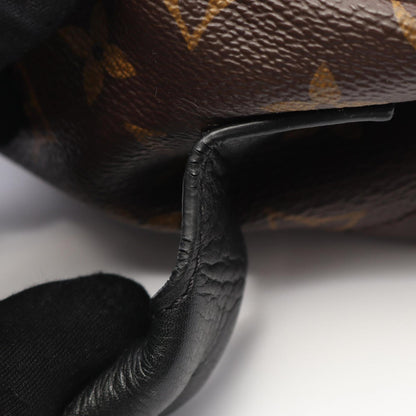 Louis Vuitton Palm Springs Backpack Pm