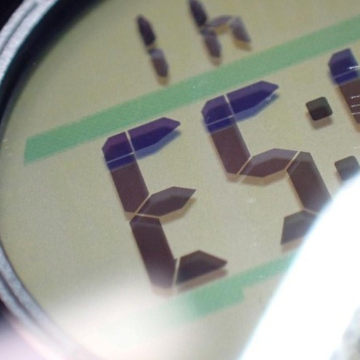 Casio Pro Trek Prw-3100 Men'S Watch