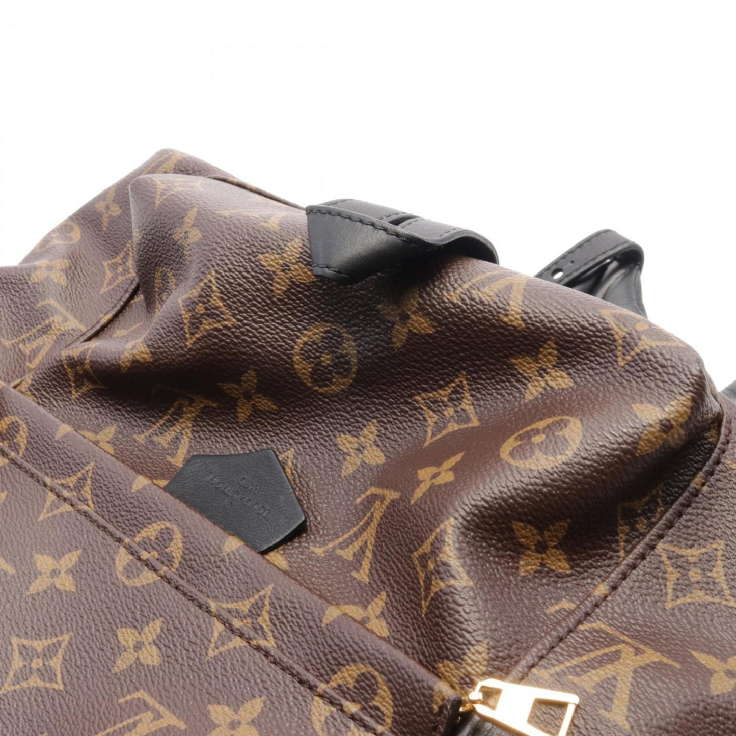 Louis Vuitton Palm Springs Backpack Mm Monogram Rucksack Bag Coated Canvas Leather