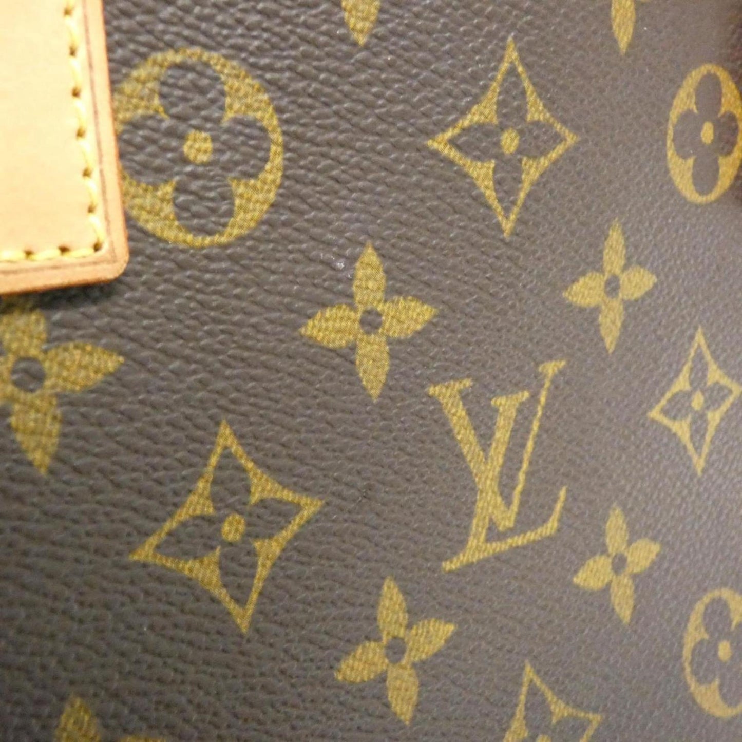 Louis Vuitton Monogram Vavin Pm M51172 Handbag