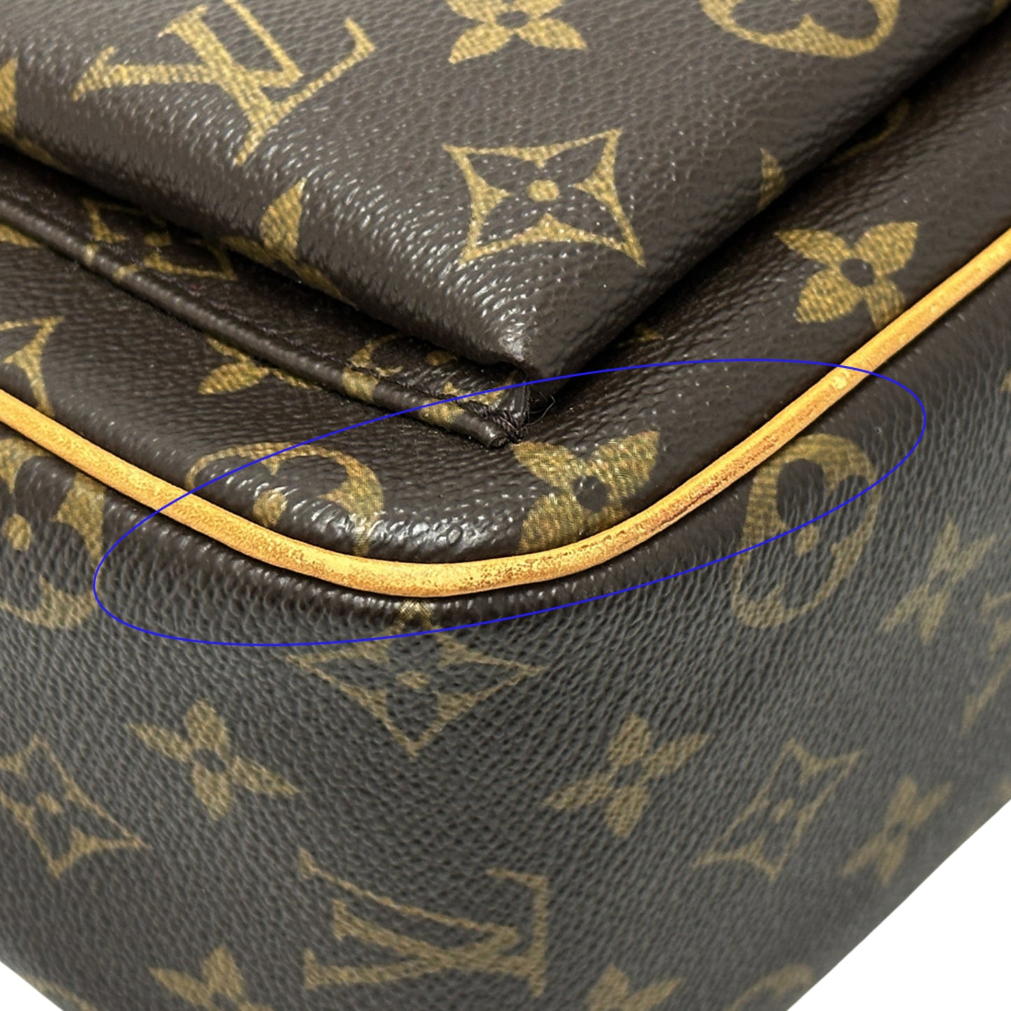 Louis Vuitton Monogram