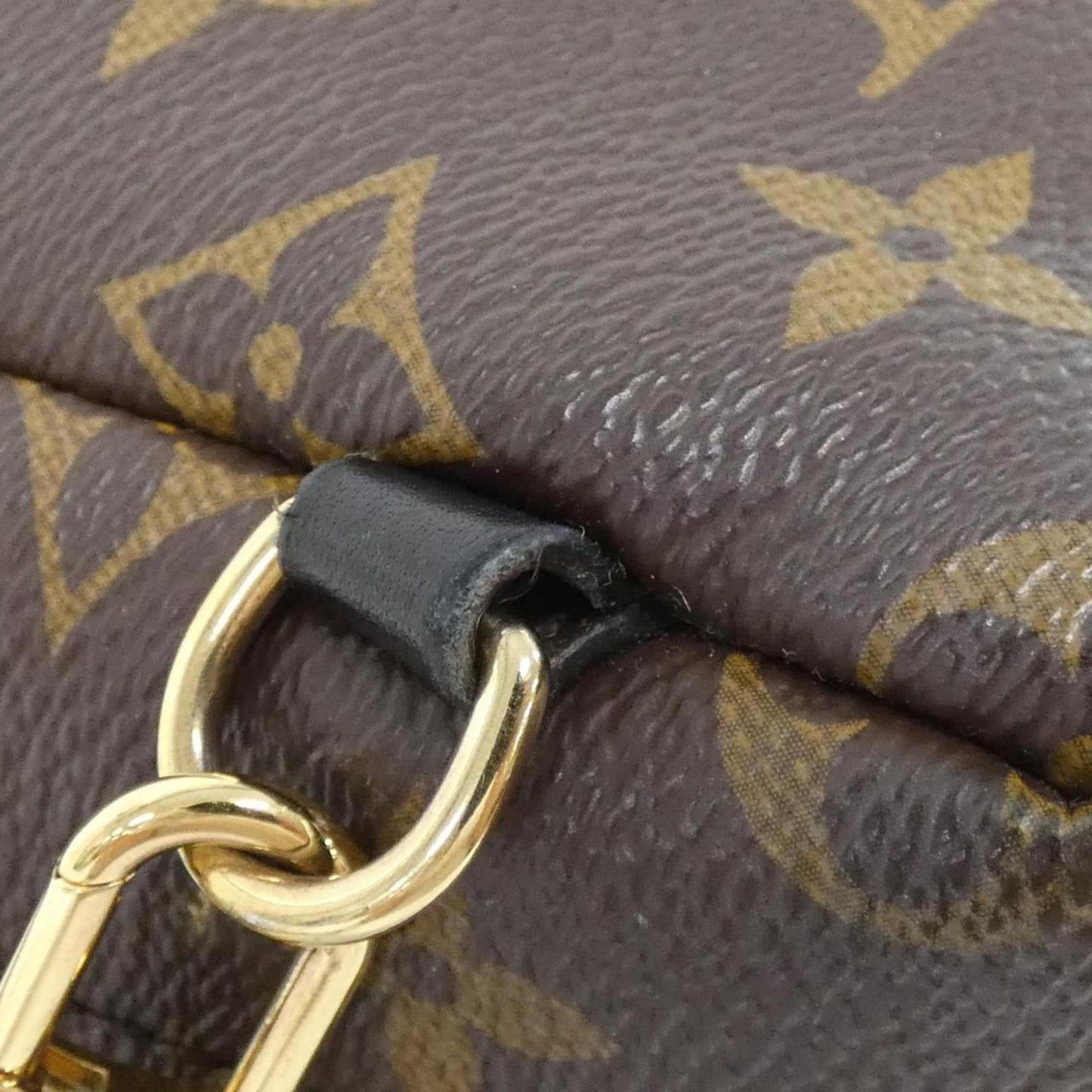Louis Vuitton Monogram Palm Springs Backpack Mini M41562
