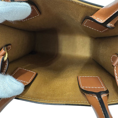 Celine Women'S Triomphe Canvas Mini Vertical Handbag/Shoulder Bag