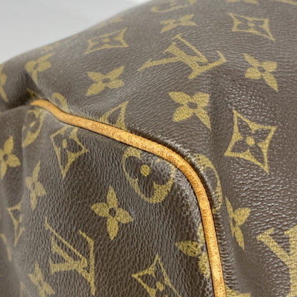 Louis Vuitton Monogram Speedy 30 Handbag M41108 Brown