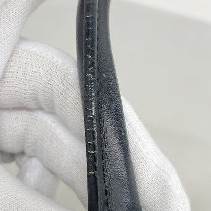 Celine Triomphe Canvas Handbag