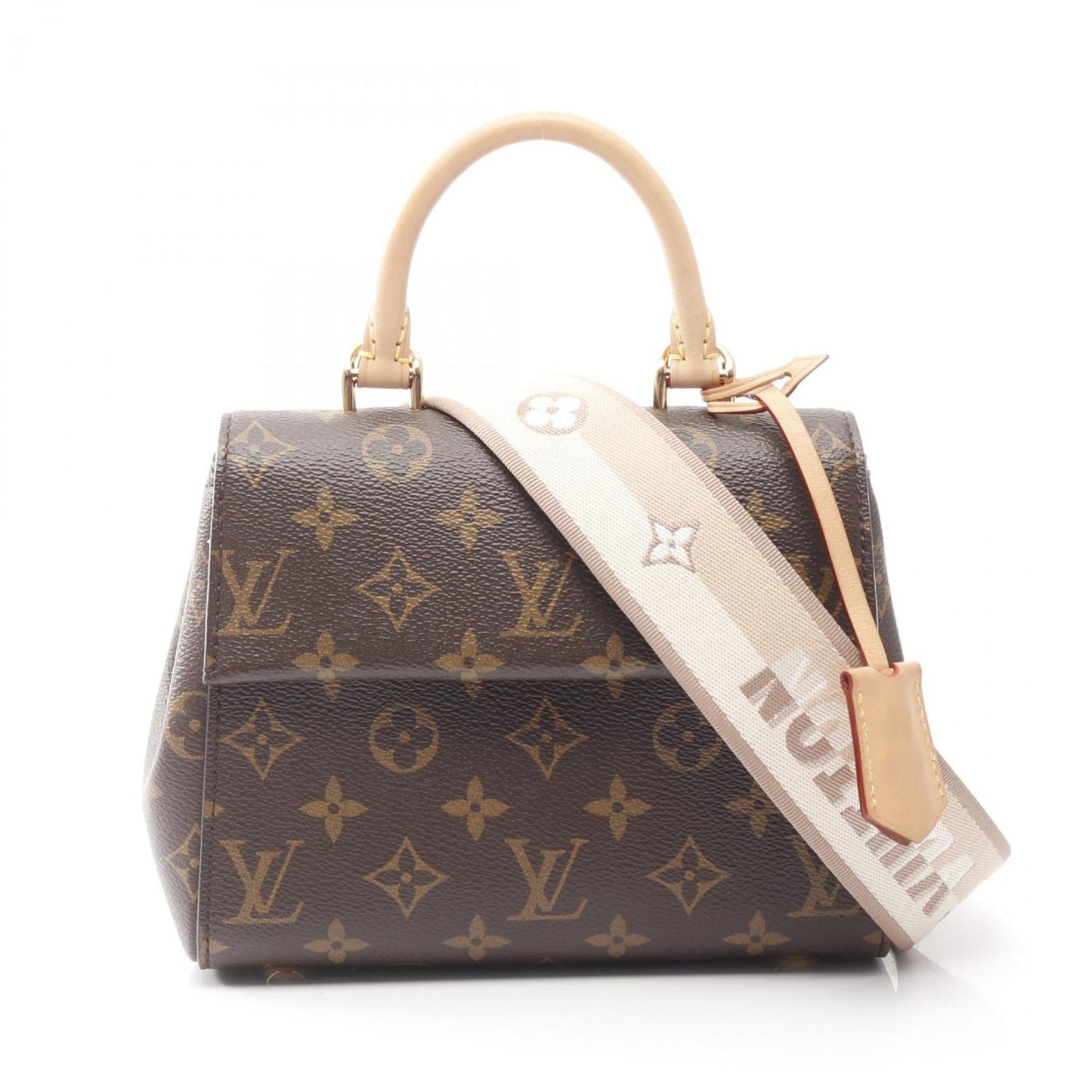 Louis Vuitton Cluny Mini Handbag